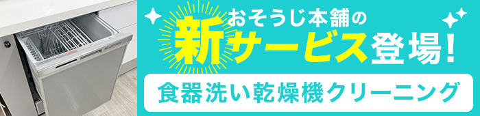 食器洗い乾燥機クリーニング